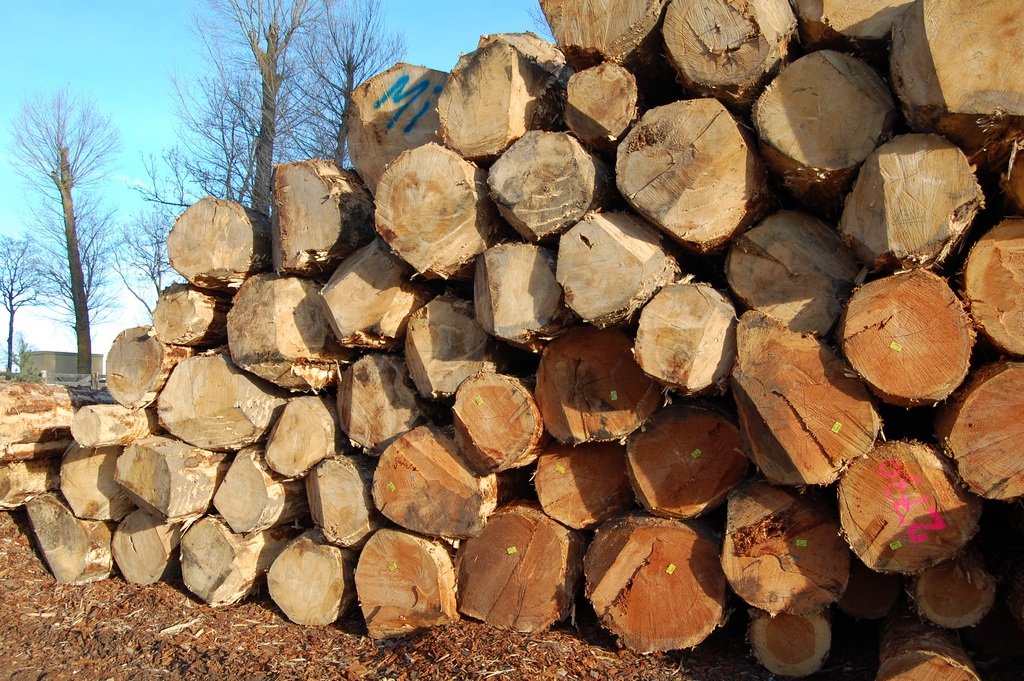 Photo-chantier-denis-2007-219 (Copier)